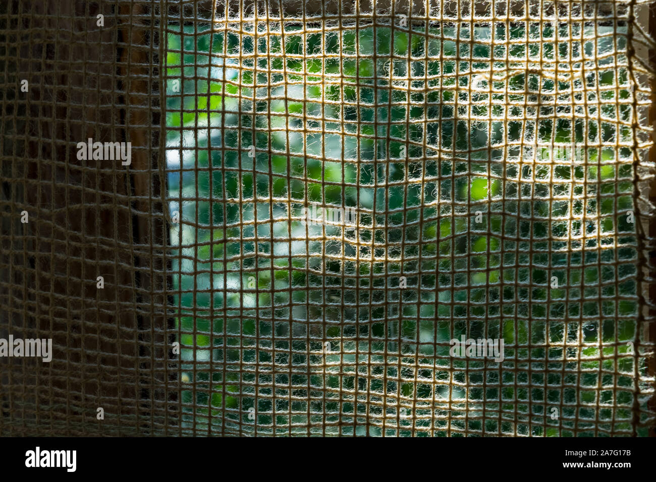 Rare fabric of cotton fluffy yarns attached to the wooden frame against sunlight. There is greenery behind the fabric net.Part of the grid is shadowed Stock Photo