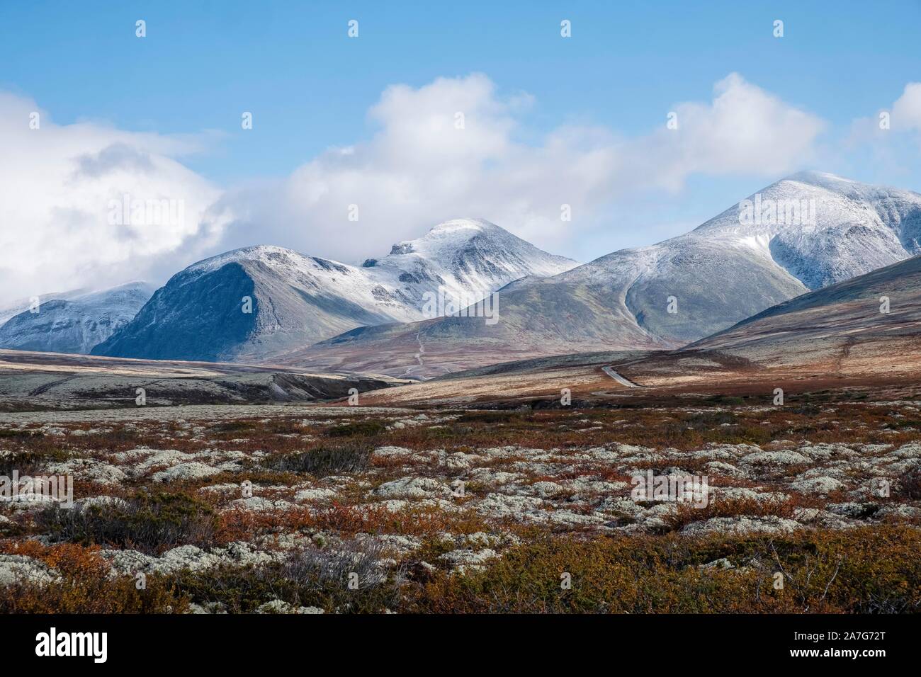 Autumn landscape in Fjall, Rondane National Park, Norway Stock Photo