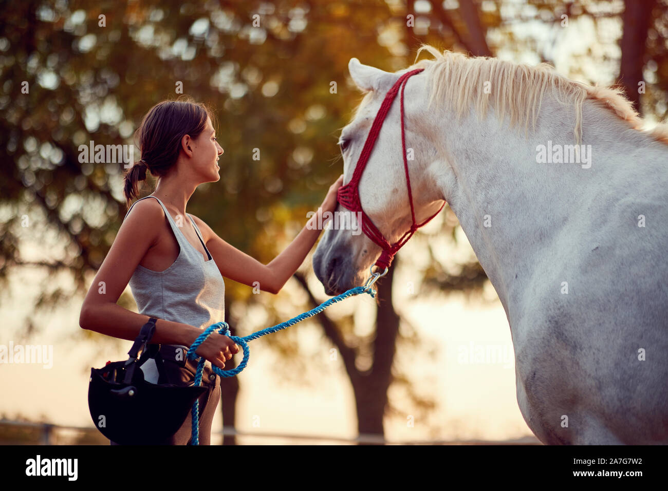 Summer horse care hi-res stock photography and images - Alamy