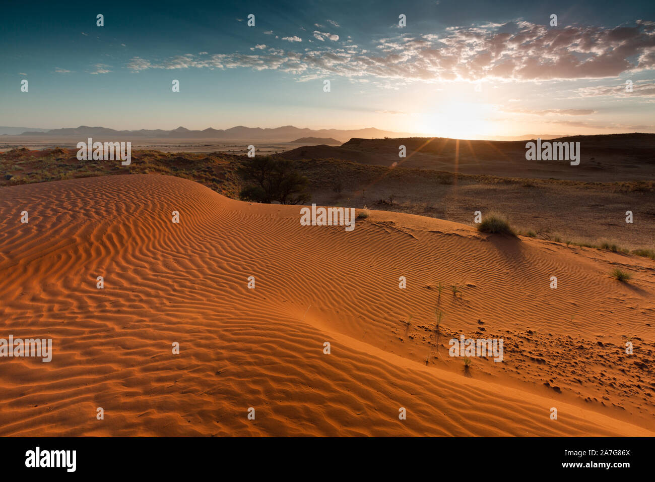 Namib Desert Sunrise looking towards Naukluftberge mountains. Namibia.  Africa. Taken at Gondwana Namib Dune Star Camp. Red sand dunes Stock Photo  - Alamy