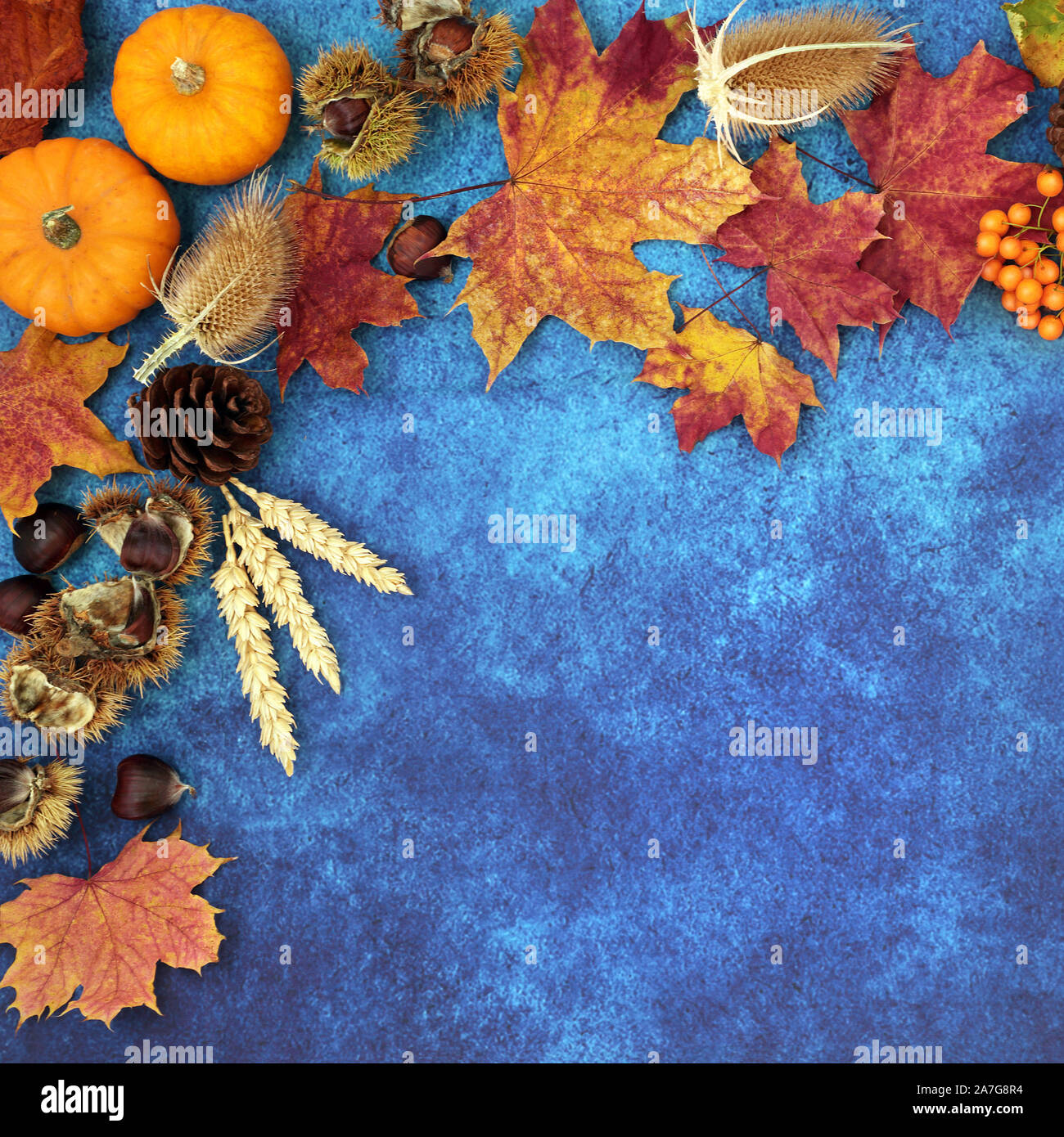 Autumn background border with food, flora and fauna on mottled blue background. Top view. Harvest festival or Halloween theme. Stock Photo