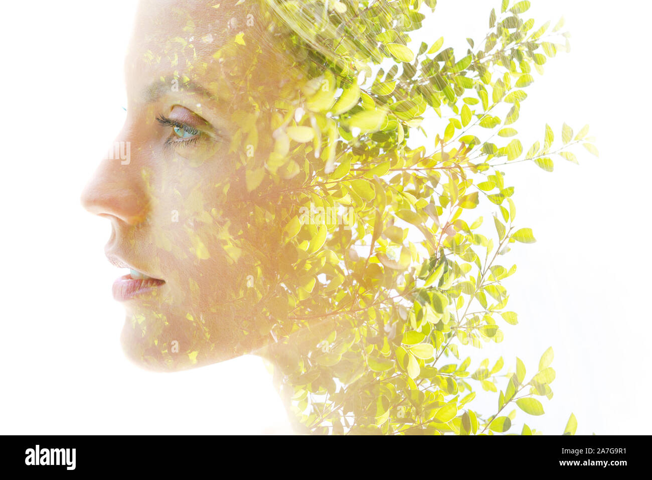 Double exposure woman's portrait with an ecological concept showcasing the beautiful feminine nature of plants Stock Photo Alamy
