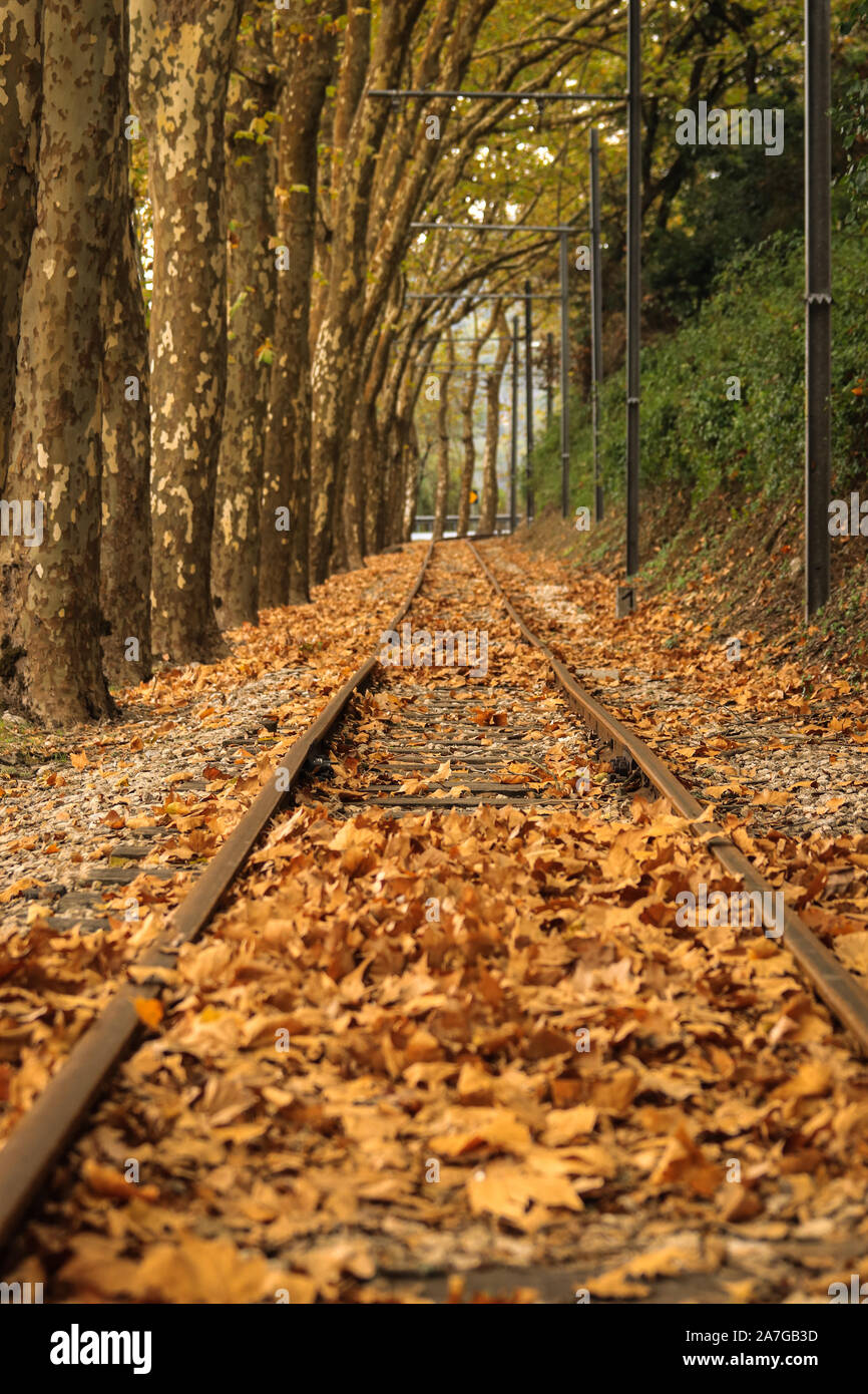 Railway or tramway track surrounded by trees with bright warm autumn colors Stock Photo