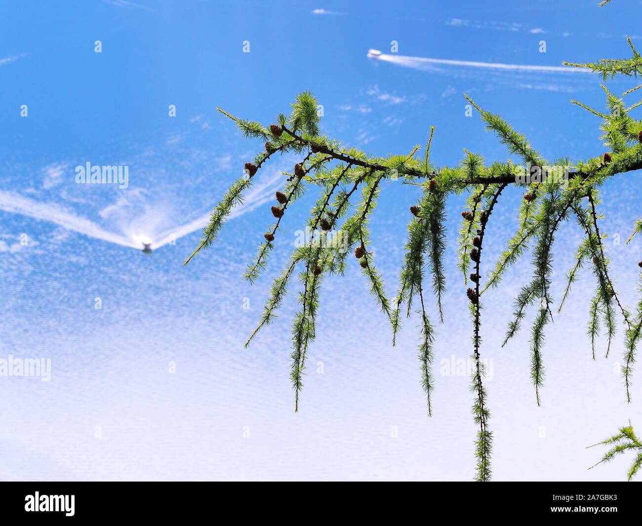 kaisersee Kaisersee hi-res stock photography and images - Alamy