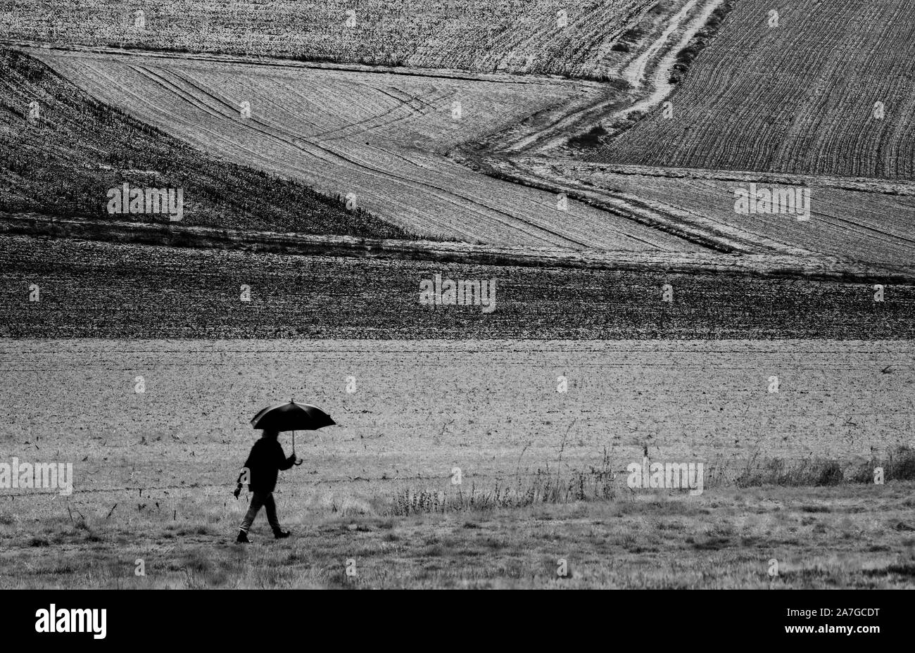 woman, umbrella Stock Photo