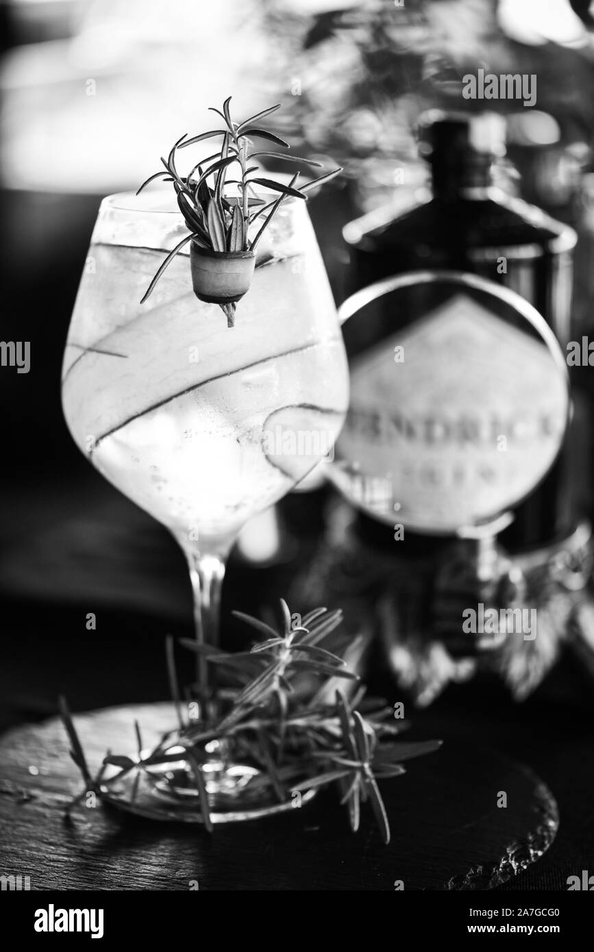 fresh gin tonic beverage with fruits & spices Stock Photo Alamy