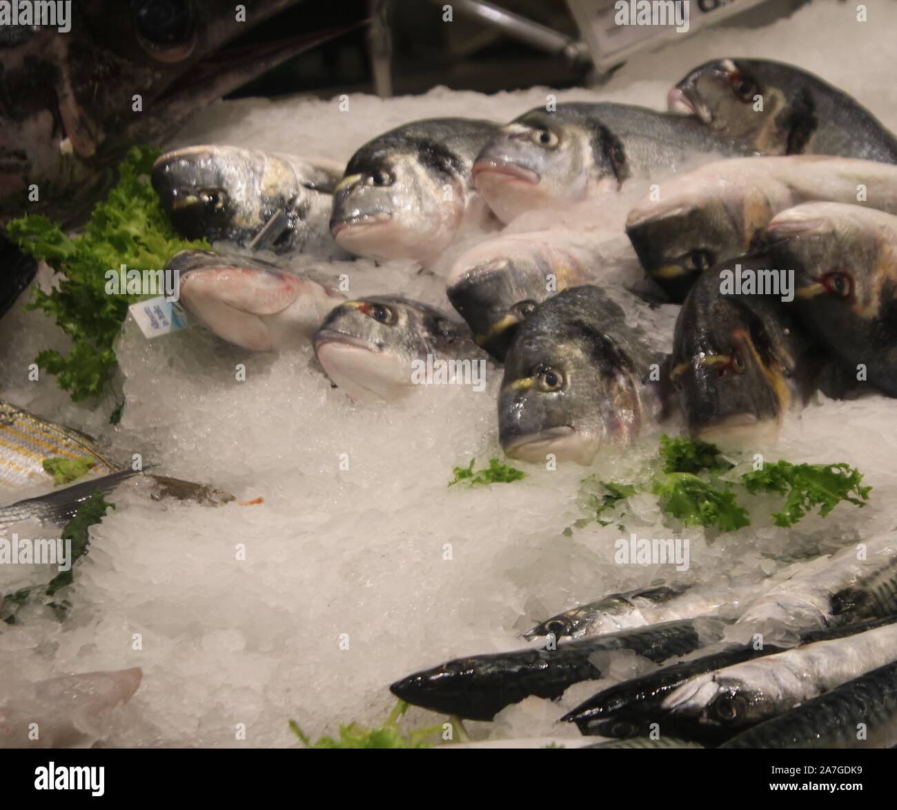 Fresh Italian sea fish with ice background image Stock Photo