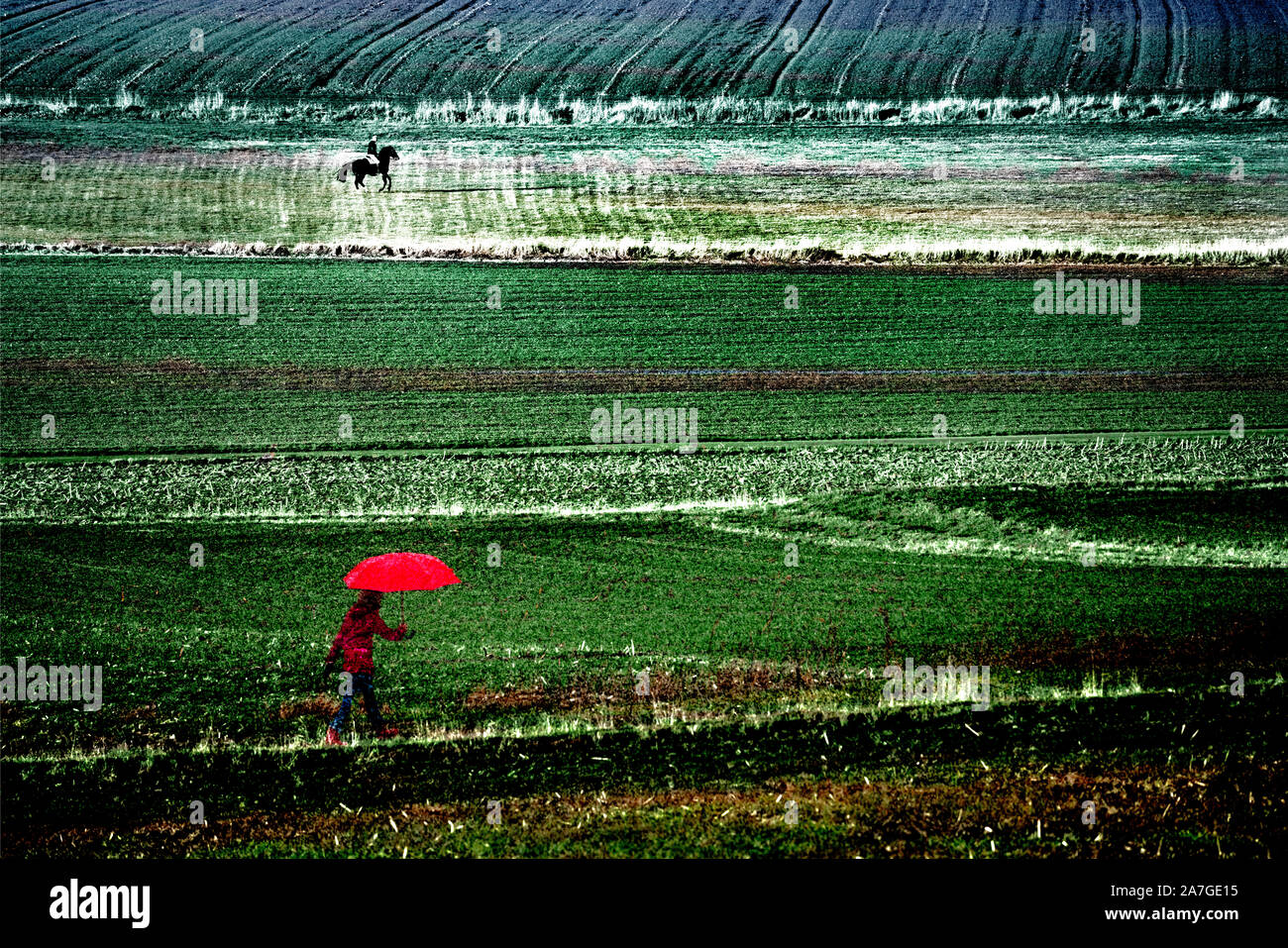 woman, umbrella Stock Photo