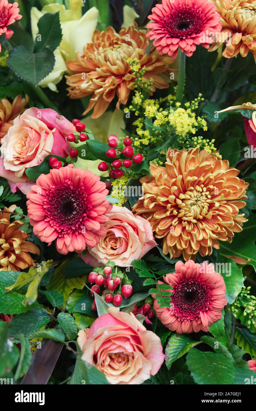 Autumn floral display Stock Photo