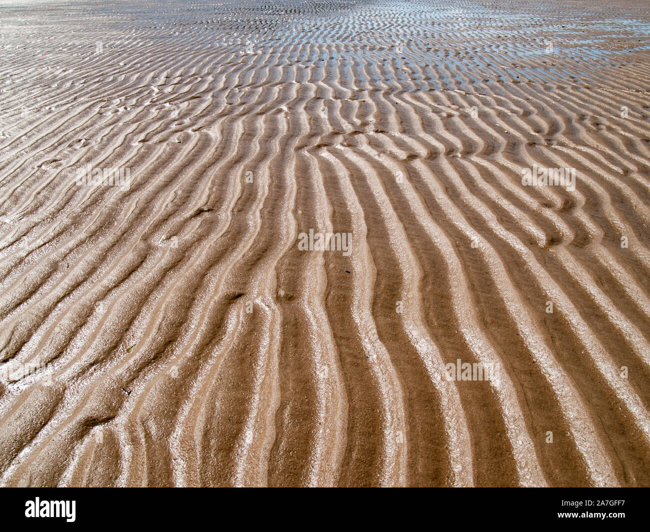 On Whiteford Sands. Patterns in the sand on the beach. AONB. Llanmadoc, North Gower, Wales, UK. Stock Photo
