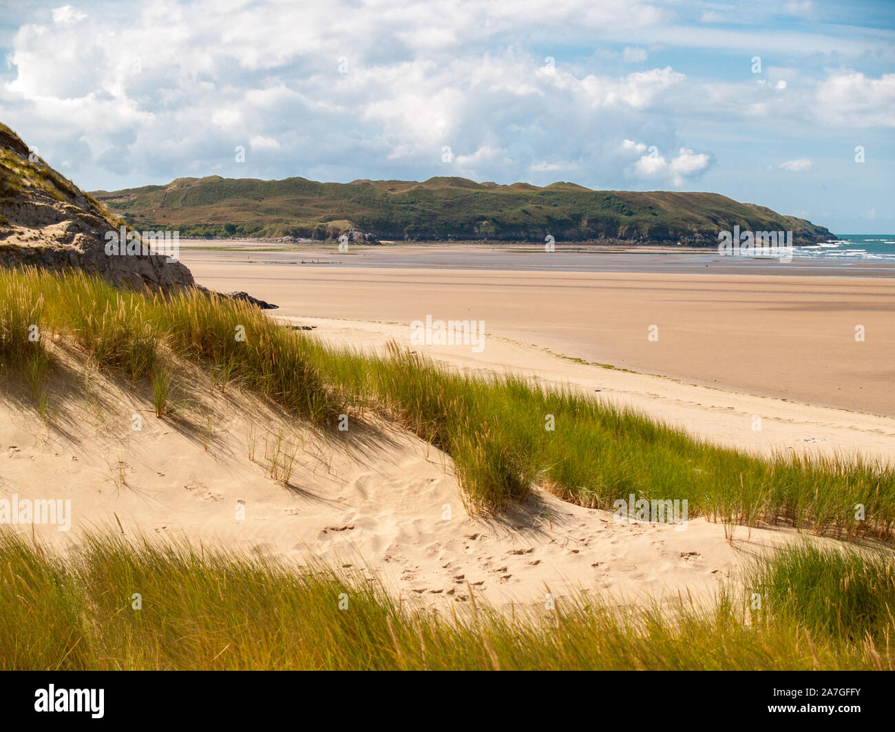 On Whiteford Sands looking Southwest towards Broughton Bay. Marram grass on the dunes. AONB. Llanmadoc, North Gower, Wales, UK. Stock Photo