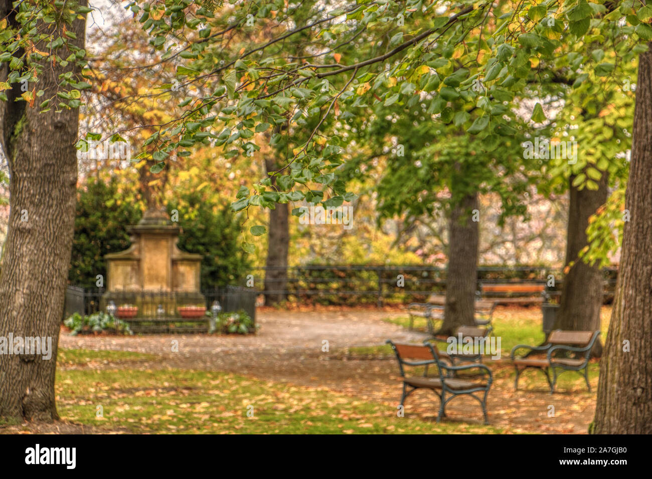 Autumn View Of Benches In Europe During Autumn Under Trees After