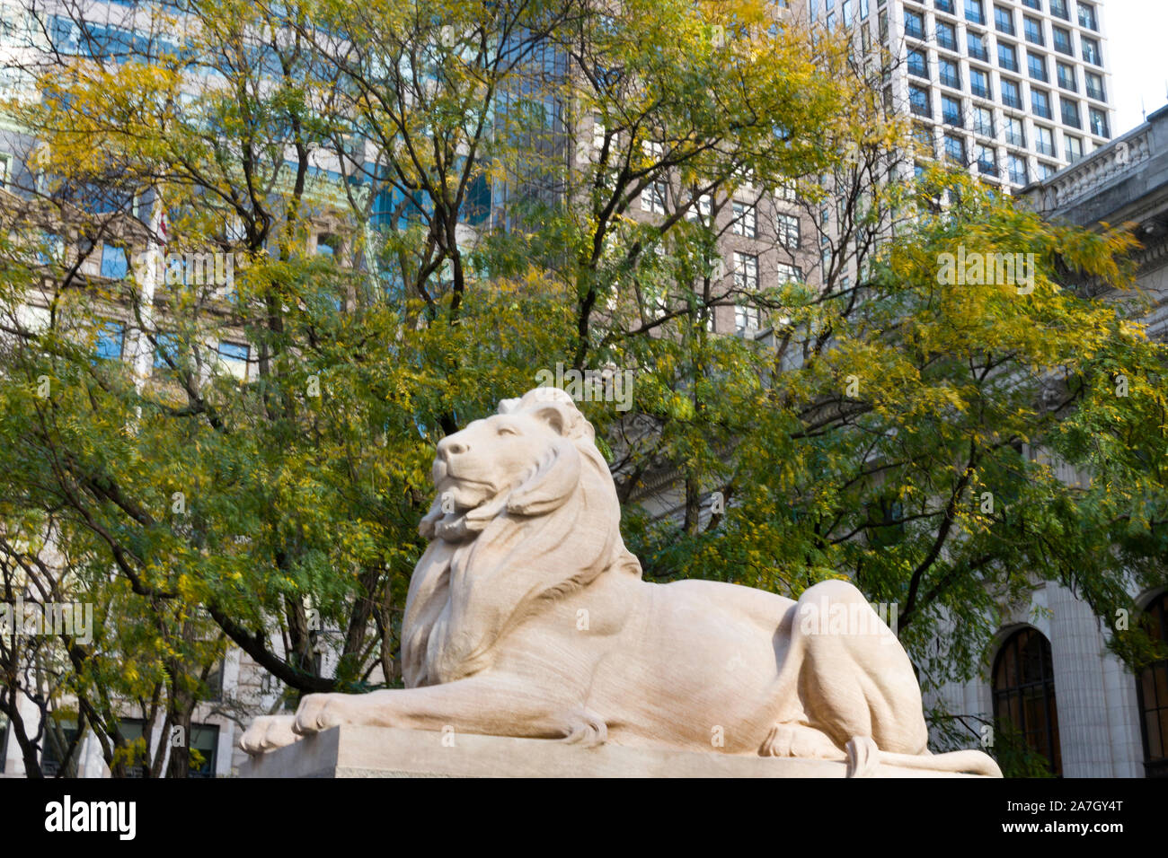 Lion Statue, New York Public Library, Main Branch, NYC, USA Stock Photo