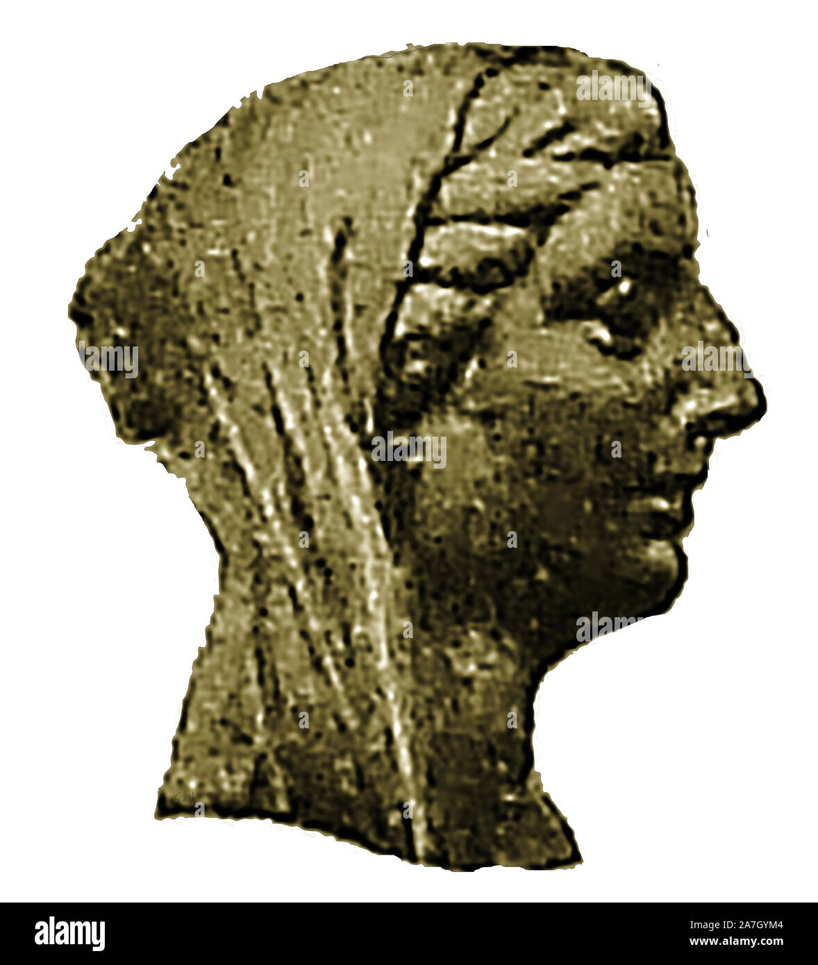 A portrait of Queen co regent (from a coin of the time). Berenice II Euergetis (or Euergetes)  was pharaoh  Queen of Egypt from  246 BC to 222 BC as the wife of Ptolemy III Euergetes (her cousin). Stock Photo