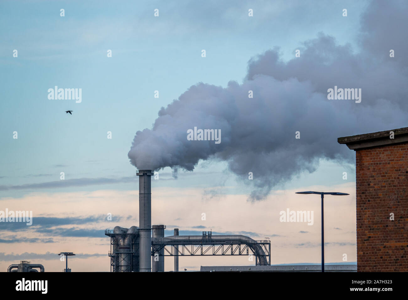 Emission of toxic chemicals hires stock photography and images Alamy
