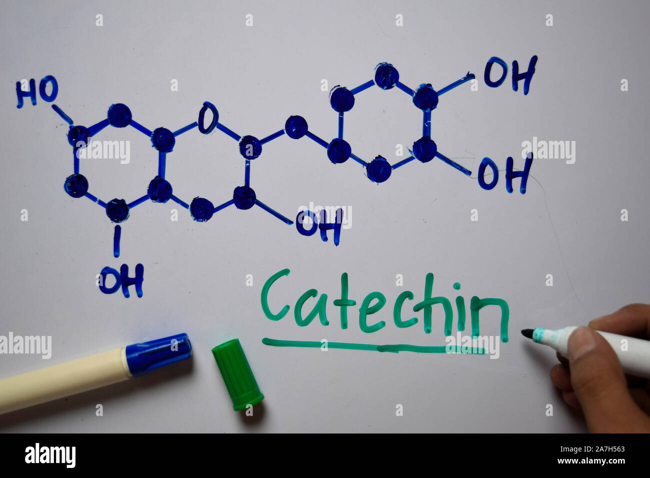 Catechin molecule write on the white board. Structural chemical formula ...