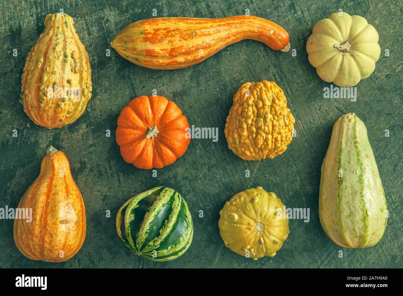 Colorful variety of winter squash in gray background Stock Photo Alamy