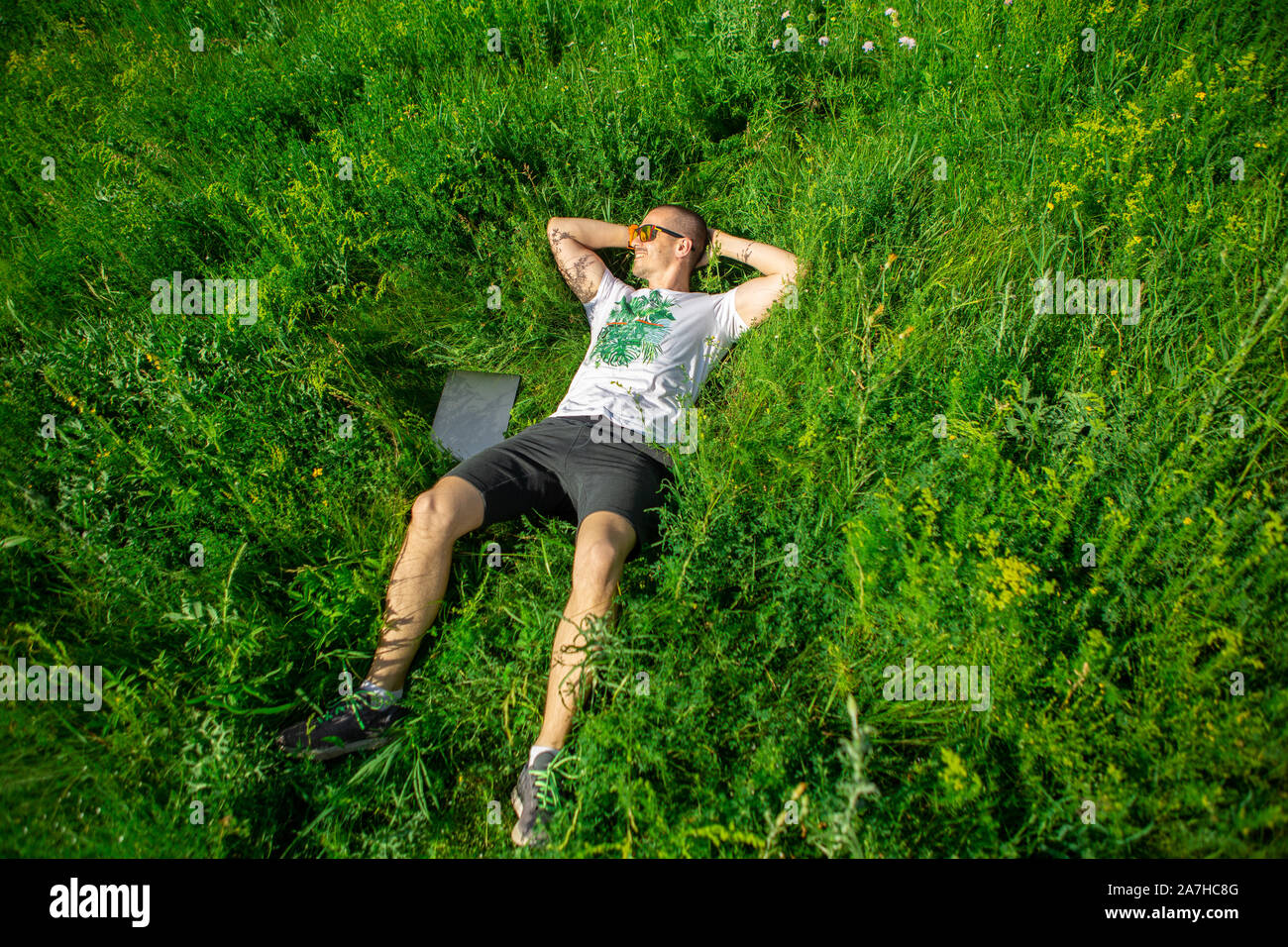Freelancer at work lying on the grass in the meadow with laptop Stock Photo