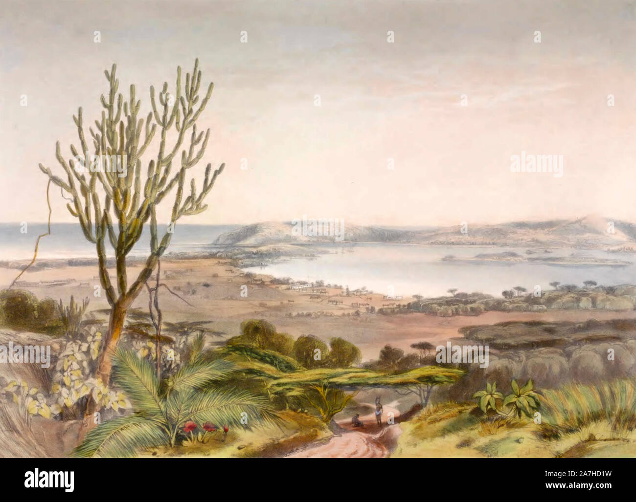 Durban, Port Natal, from the Berea, South Africa, circa 1849 Stock Photo -  Alamy