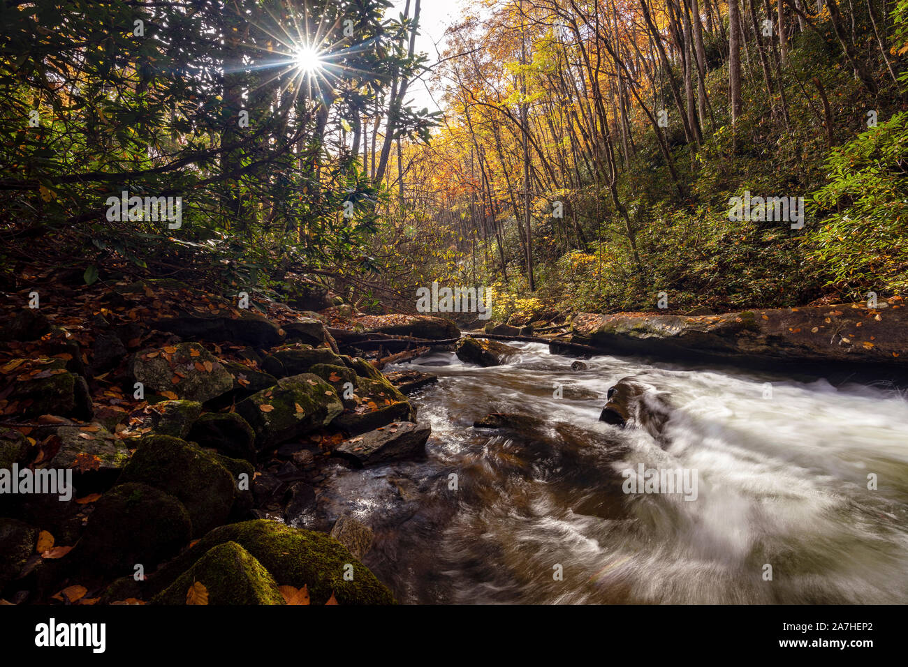 Flowing cascade on Looking Glass Creek in autumn - Pisgah National Forest, near Brevard, North Carolina, United States Stock Photo