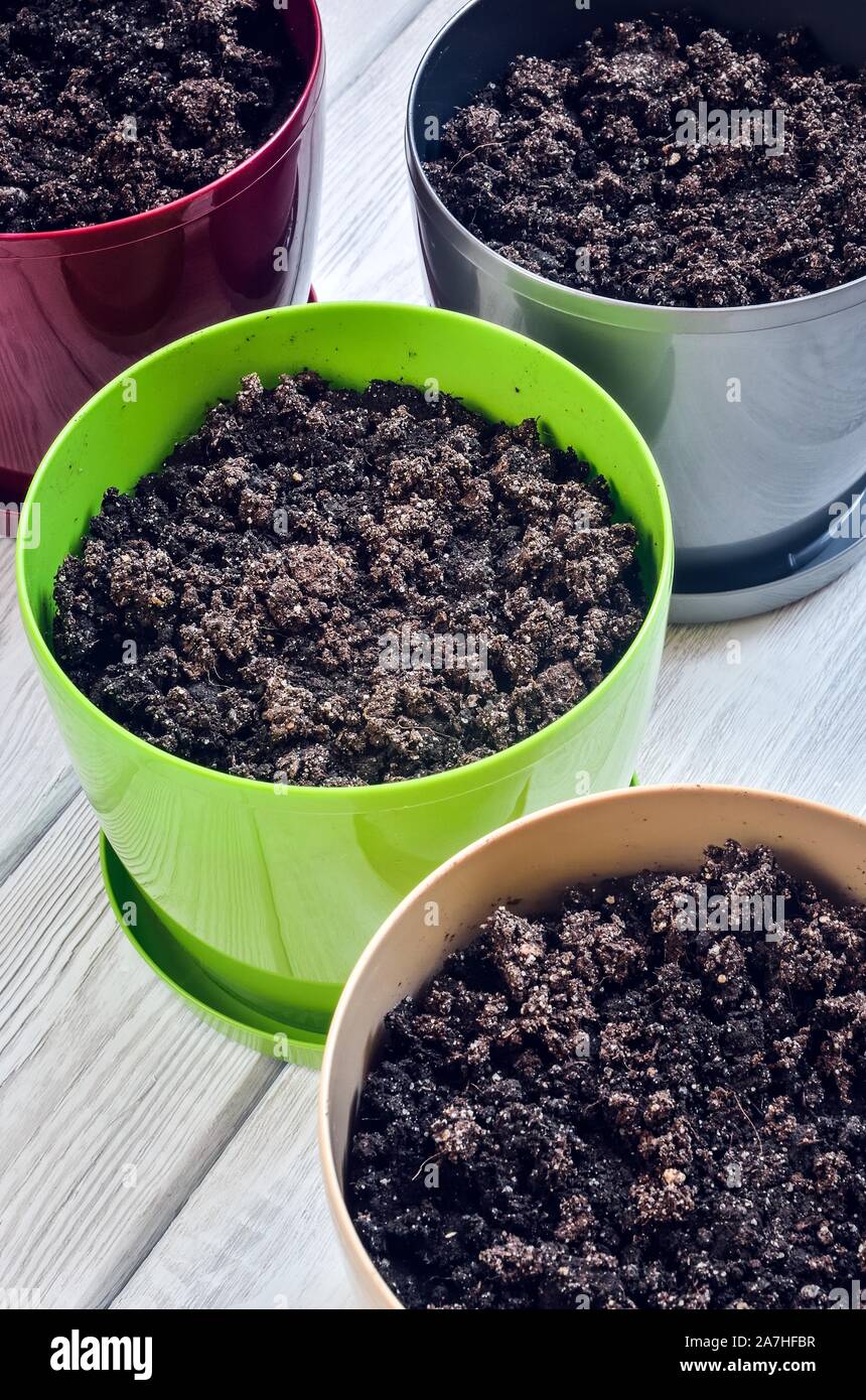Home herb garden. Pots with fresh soil prepared for planting seeds. Stock Photo