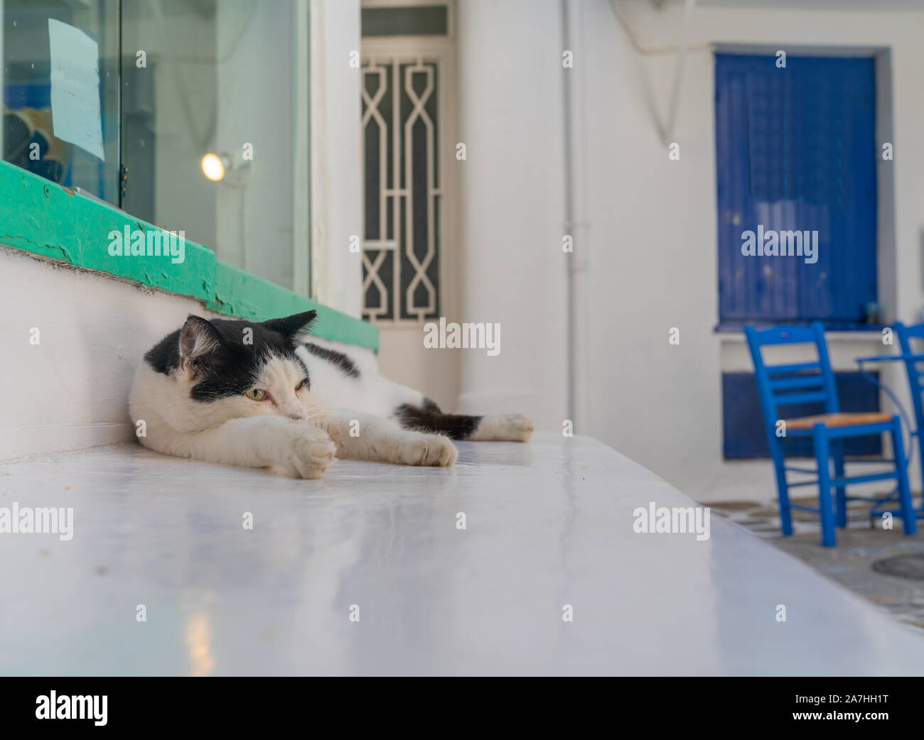 Black and white cat on white marble doorstep in Skiathos street