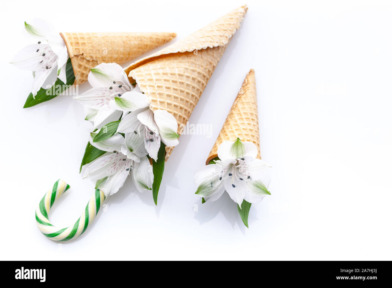 Top view of white flowers in a waffle cone and lollipop cane on a white background. Stock Photo