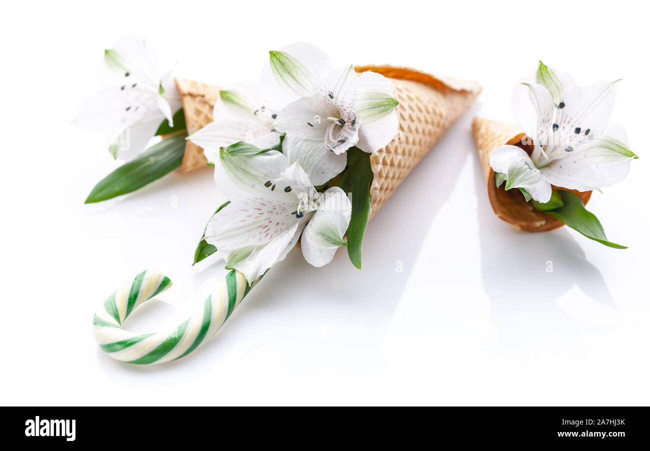 Close-up of white flowers in a waffle cone and lollipop cane on a white background. Stock Photo