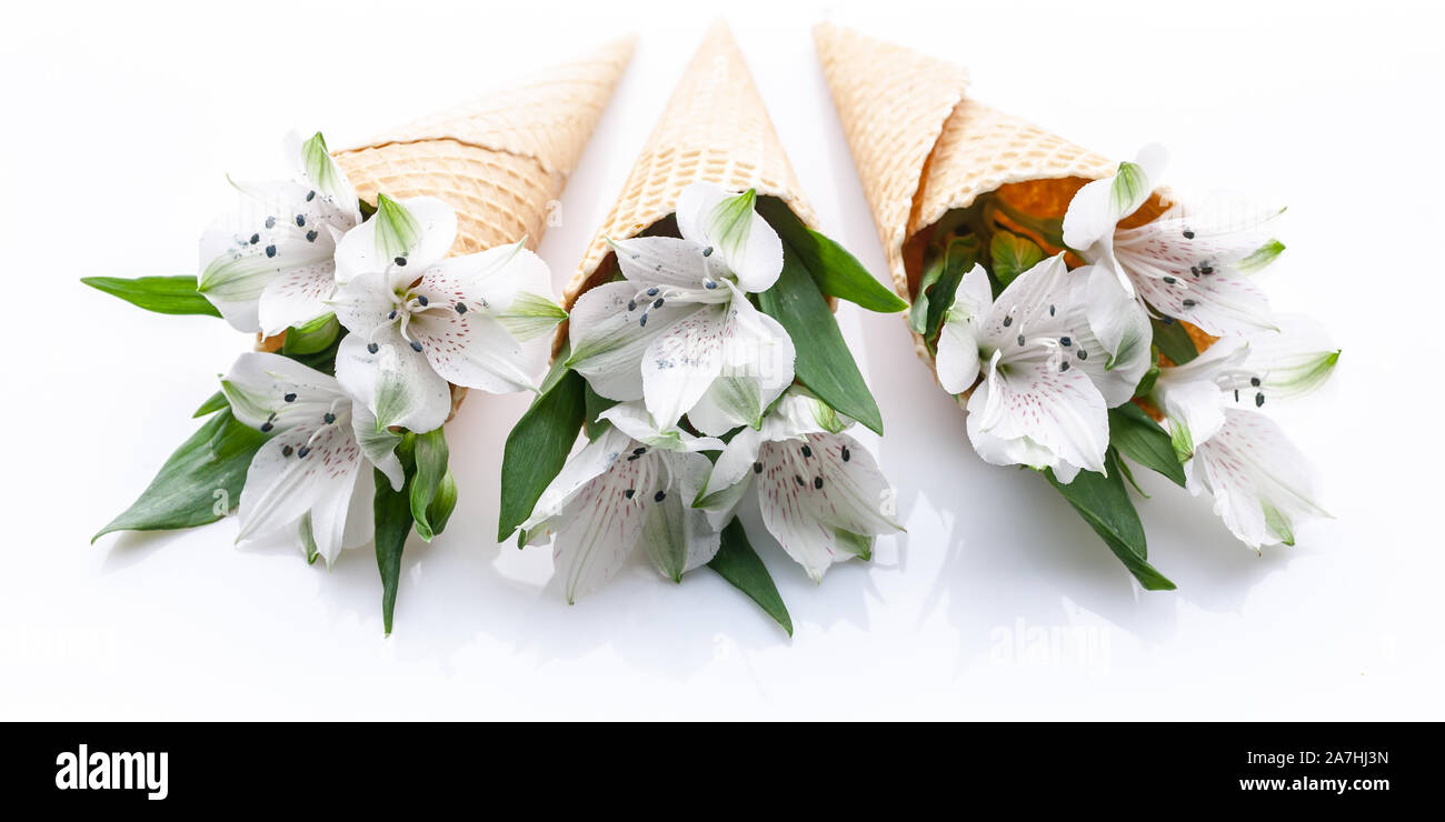 Wedding WEB banner. White alstromeria flowers in waffle cones on a white background. Stock Photo