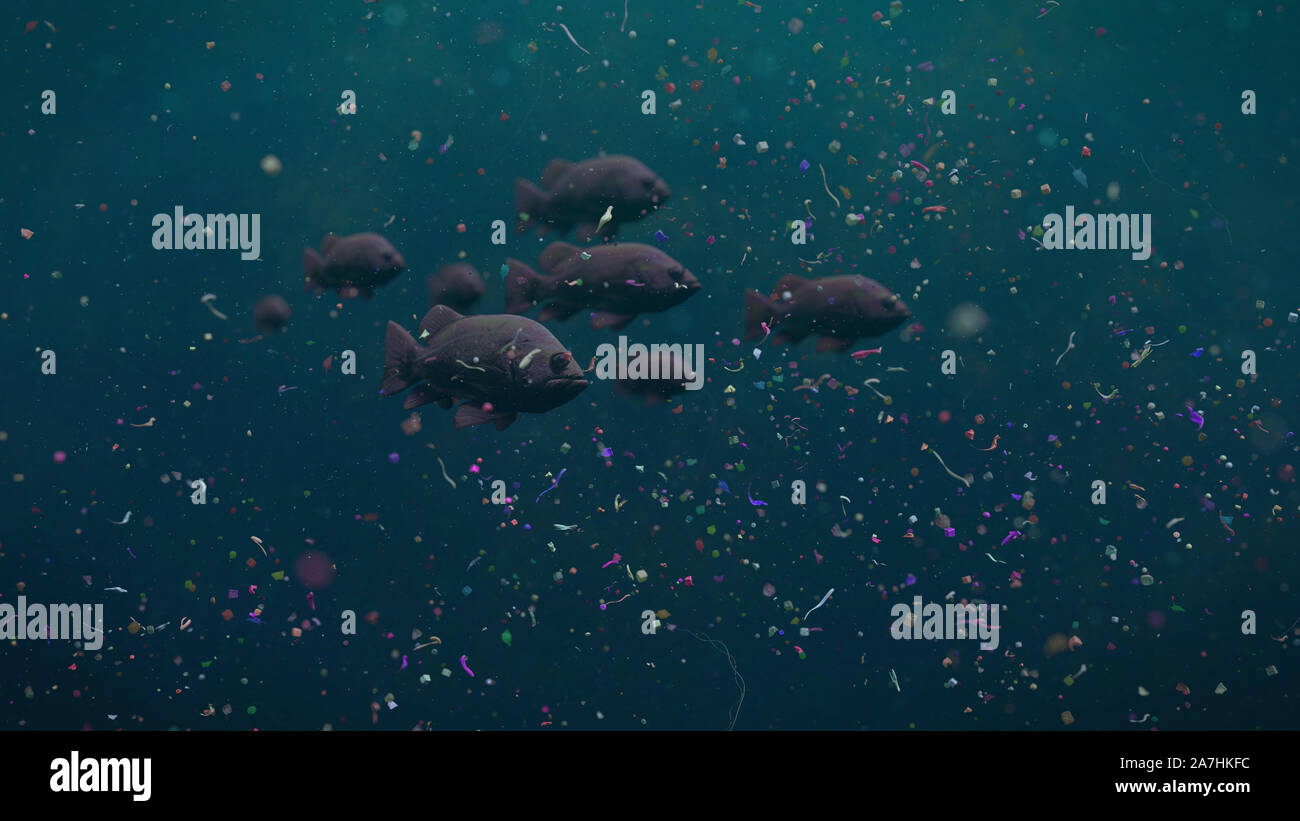 fish swarm swimming through plastic pollution, micro plastic particles in ocean water Stock Photo