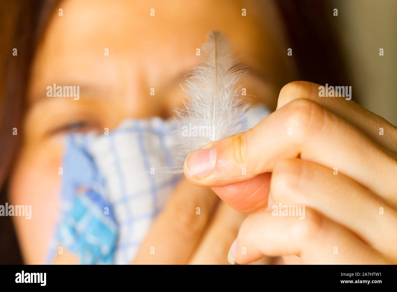 Allergy on bird's feather concept image. Allergens Stock Photo Alamy