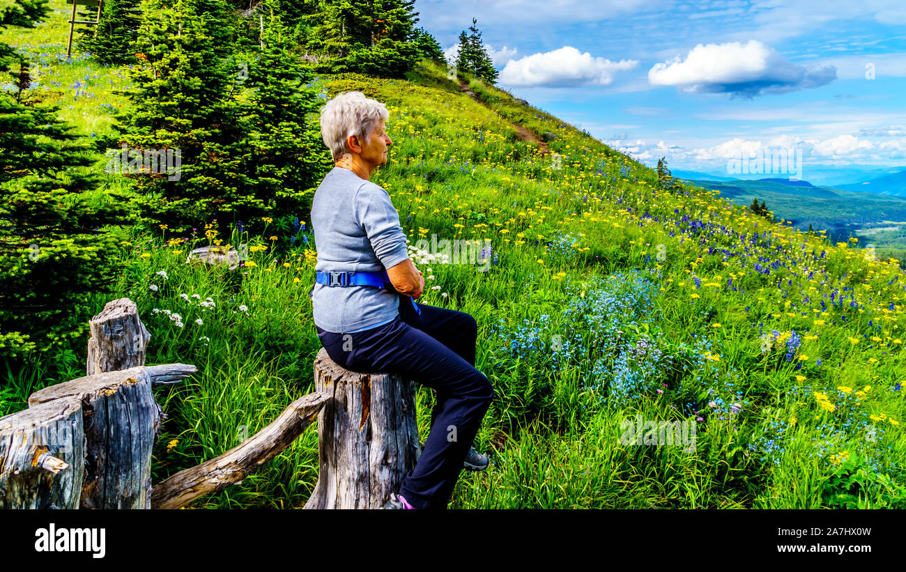 Woman hiker resting on a tree stump enjoying the Alpine Meadows looking down at the Alpine village of Sun Peaks in beautiful British Columbia, Canada Stock Photo