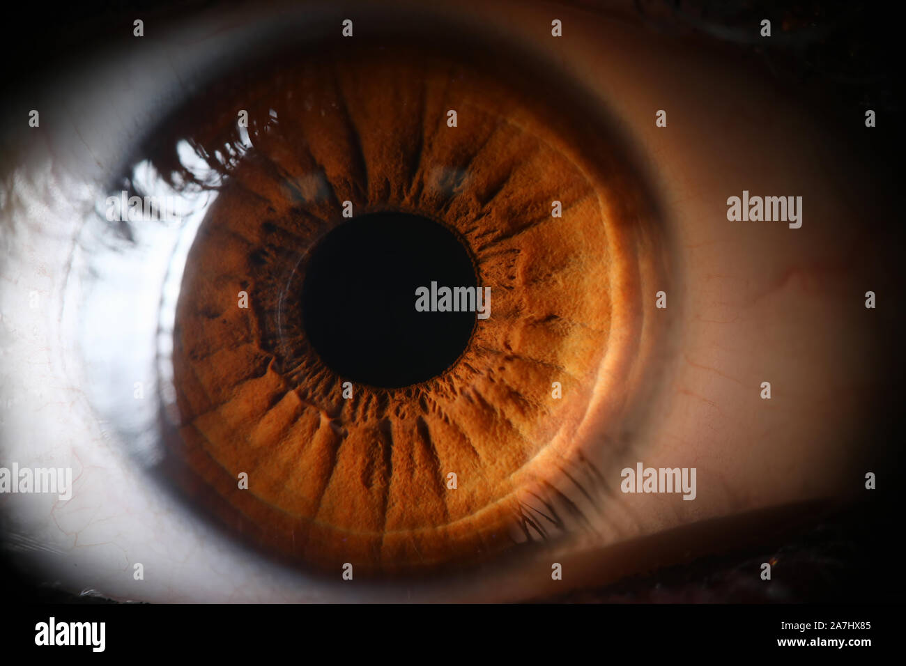 Human brown eye supermacro closeup Stock Photo - Alamy