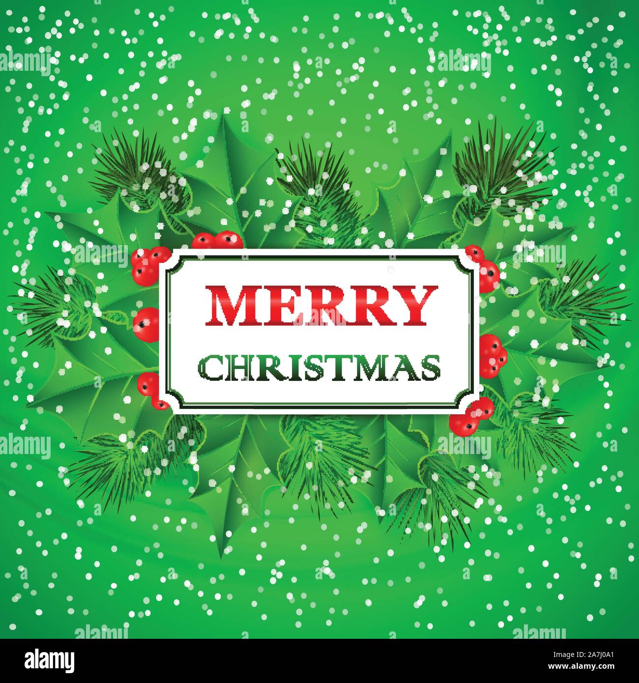 Merry Christmas Card design with holly and fir branches. Vector ...