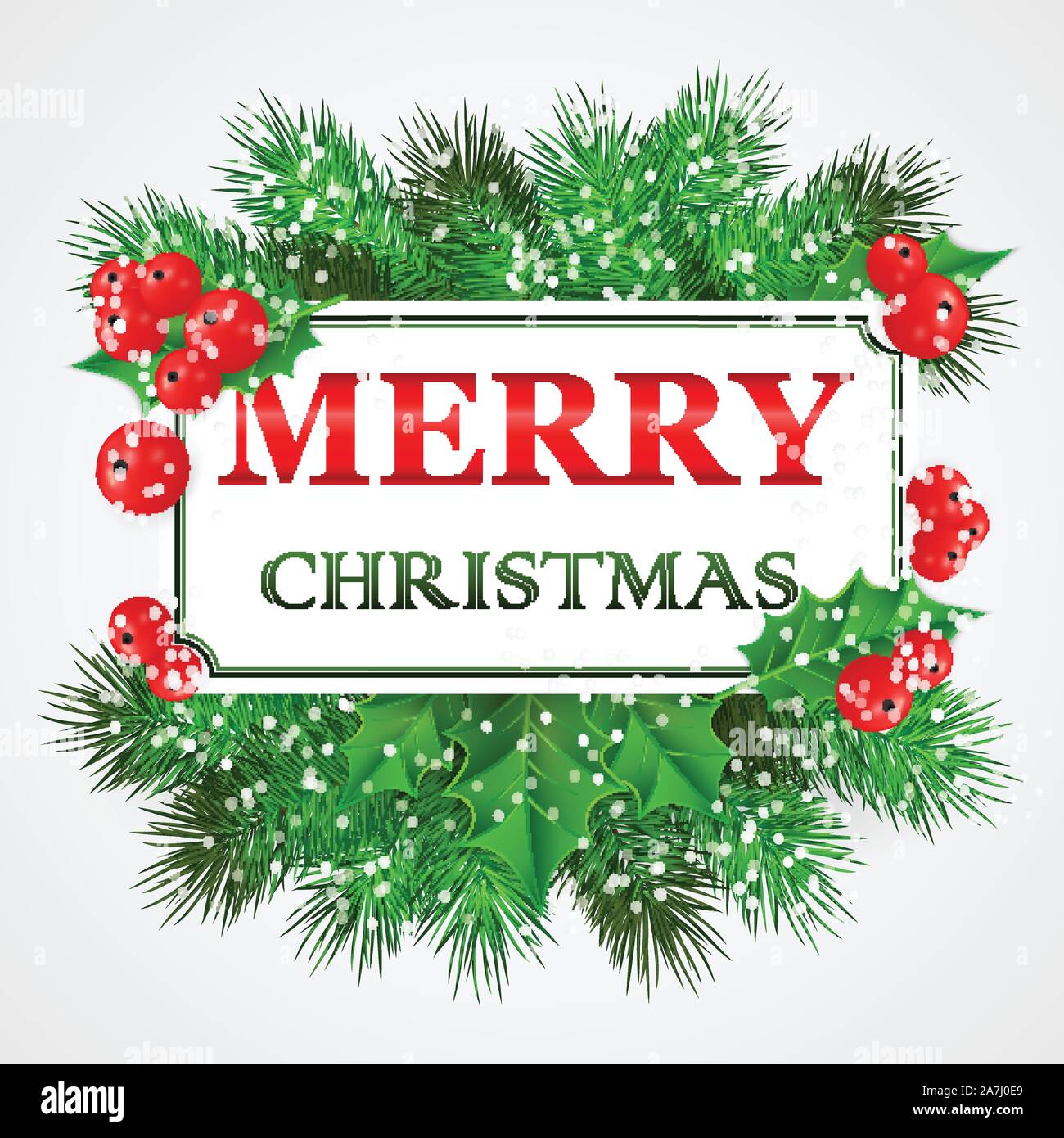 Merry Christmas Card design with holly and fir branches. Vector ...