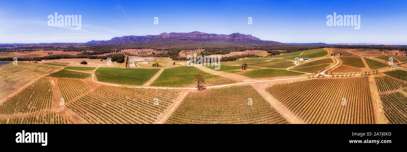 Patches of cultivated vineyard fields on hills sides in Hunter valley winemaking region, Australia. Massive sandstone mountain range over agriculture Stock Photo
