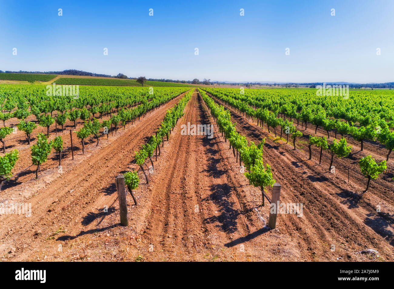 Fertile red soil hires stock photography and images Alamy