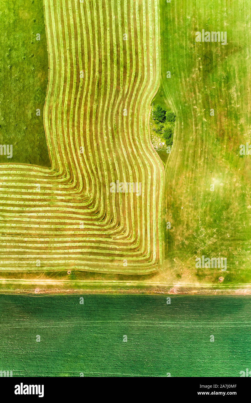 Lush cultivated crops and plants on agriculture farm with irrigation and fertilising - aerial top down view down to ground with lines of tractor track Stock Photo