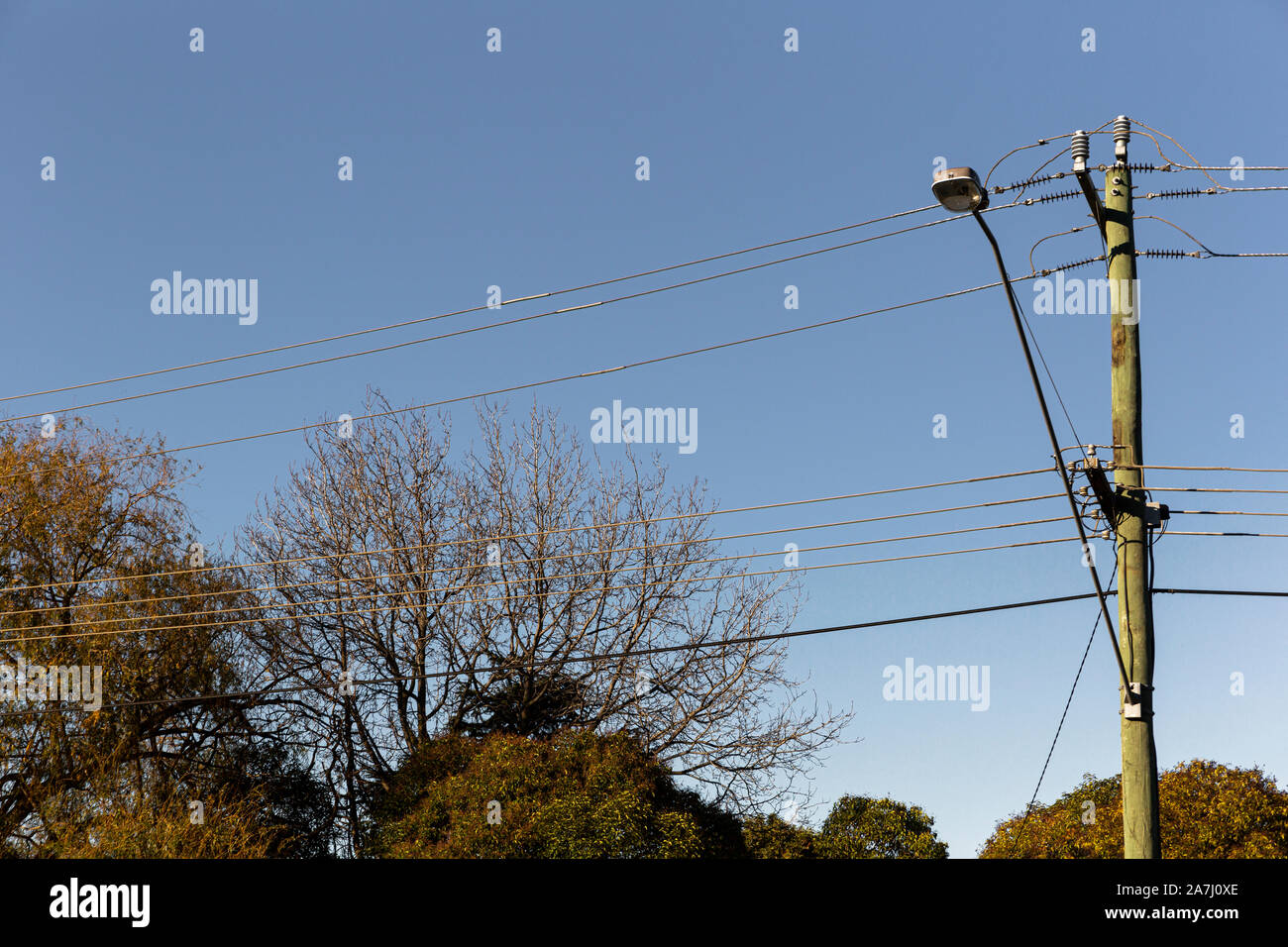 Street power pole with street light fixed to the side Stock Photo Alamy