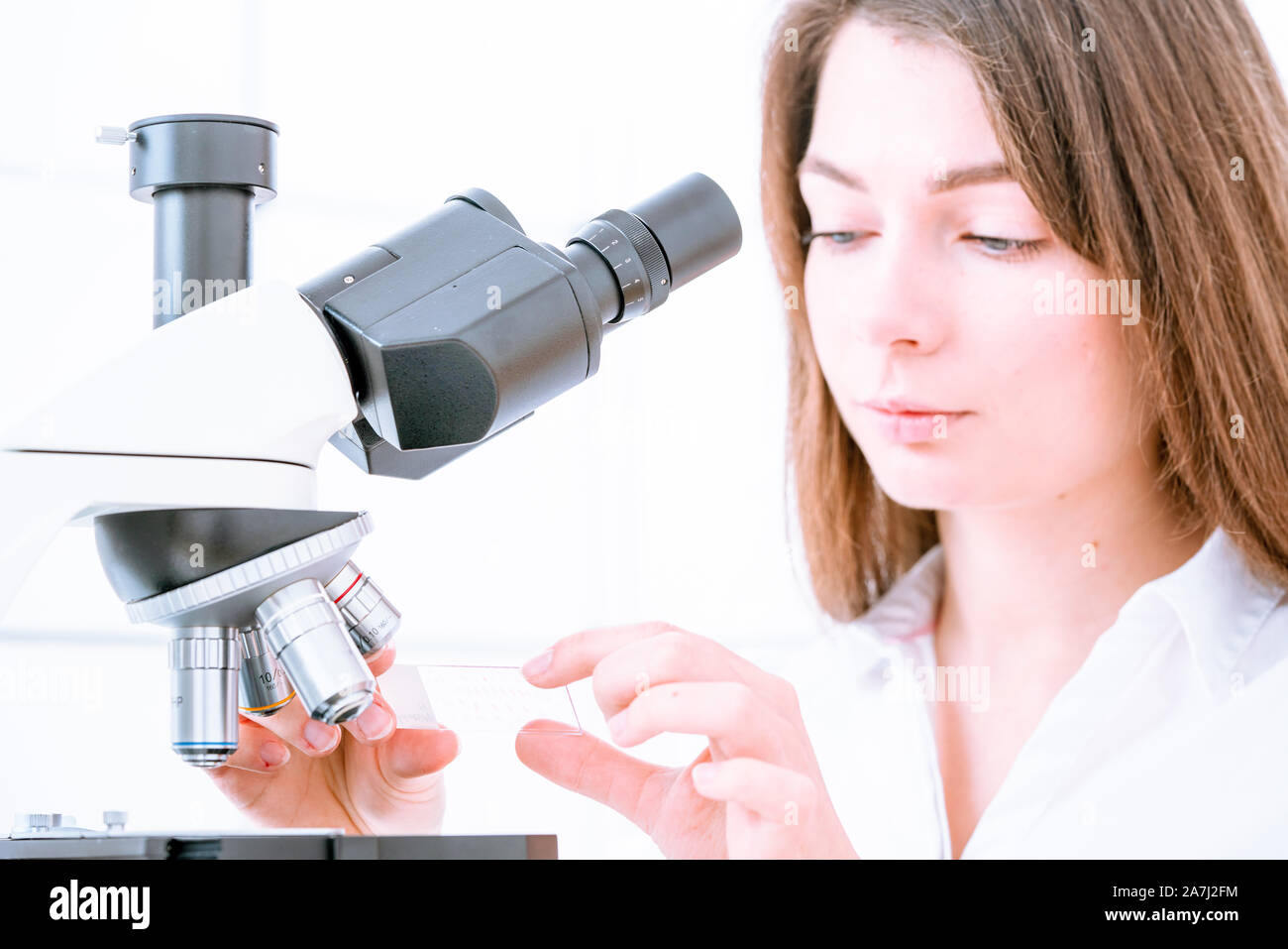 Scientist analyzing microscope slide at laboratory. Young woman ...