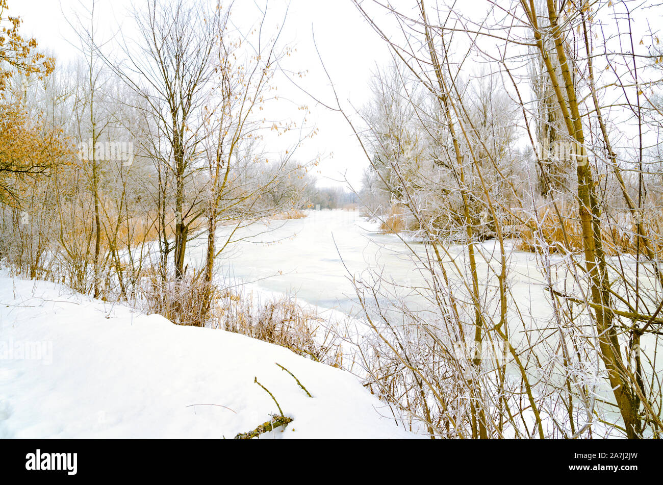 winter landscape of river covered with ice Stock Photo - Alamy