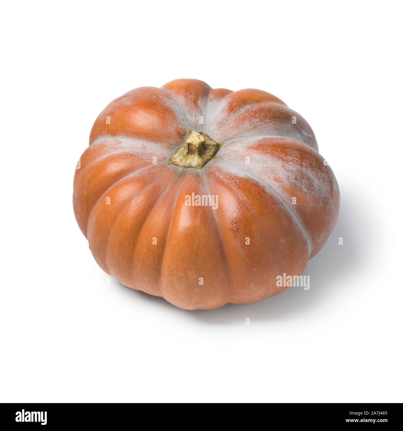Single whole fresh Orange Moschata pumpkin isolated on white background Stock Photo