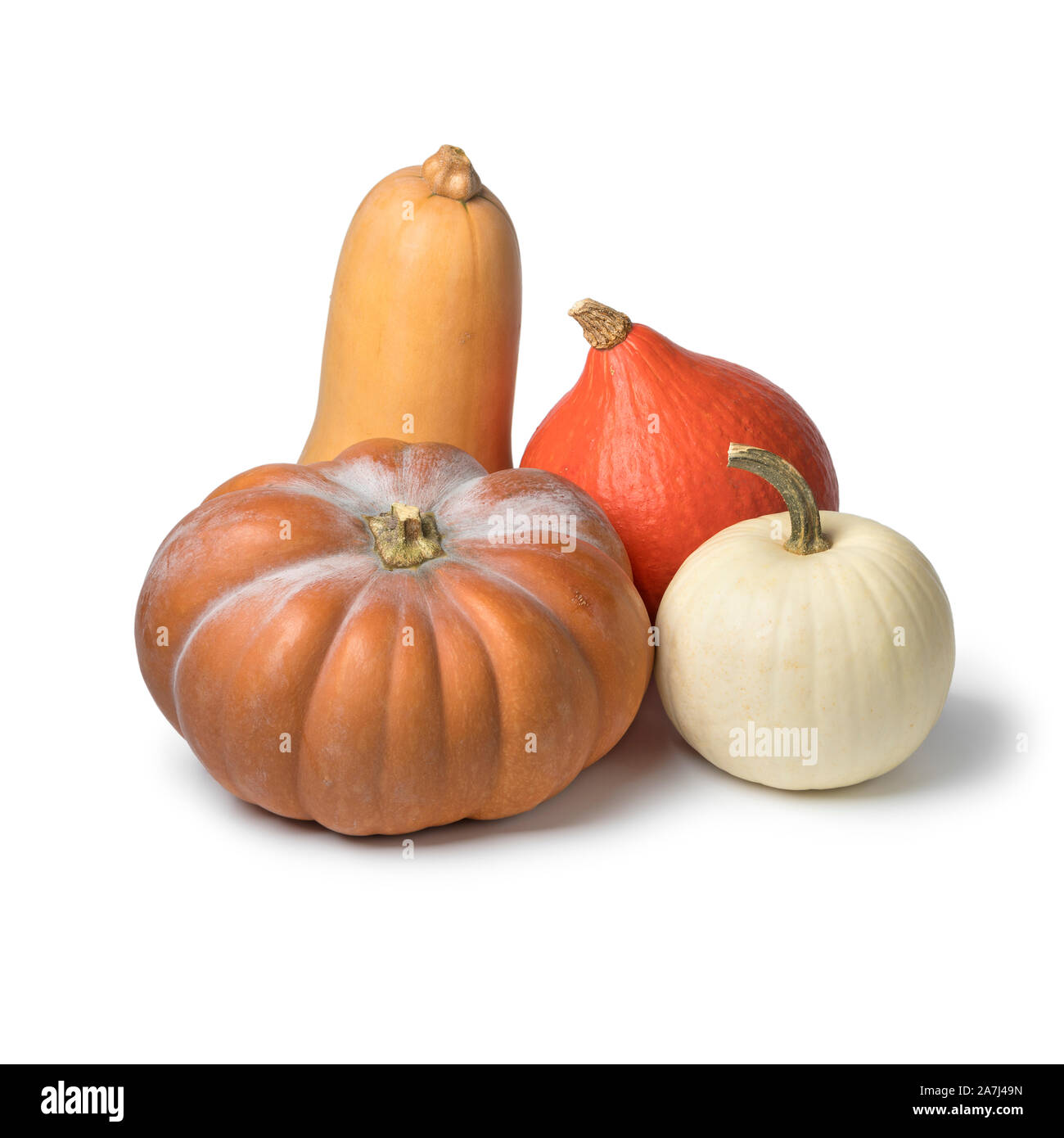Diversity in shape and taste of fresh pumpkins isolated on white background Stock Photo