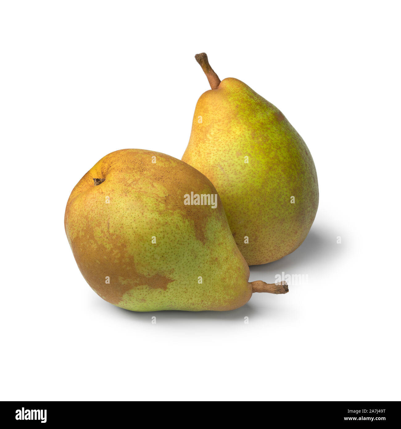 Pair of fresh ripe Doyenne du Comice pears isolated on white background Stock Photo