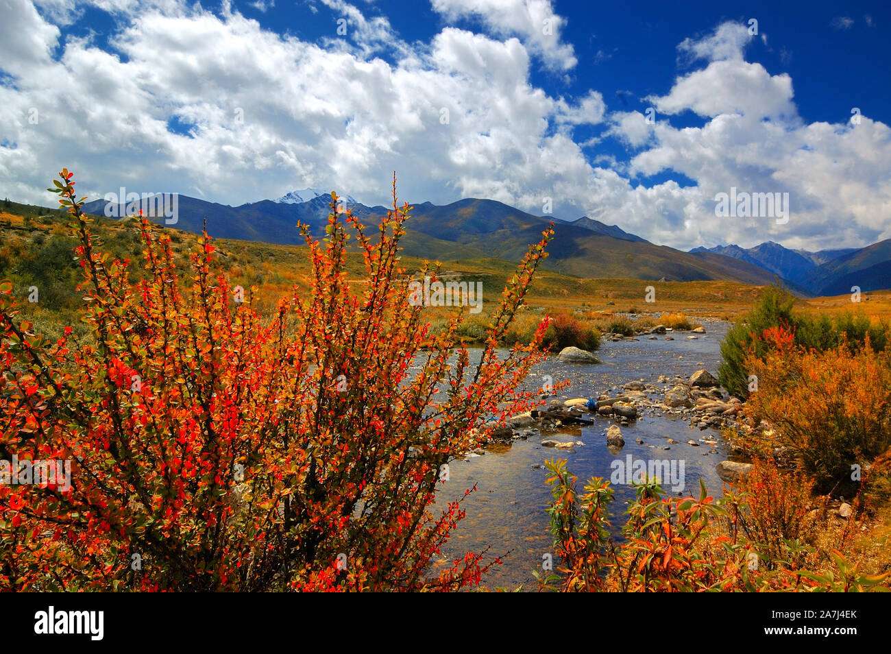 View of Cuopugou Valley Nature Reserve that borders Tibet Autonomous Region in Sichuan province, south-west China, 2 September 2019. Stock Photo