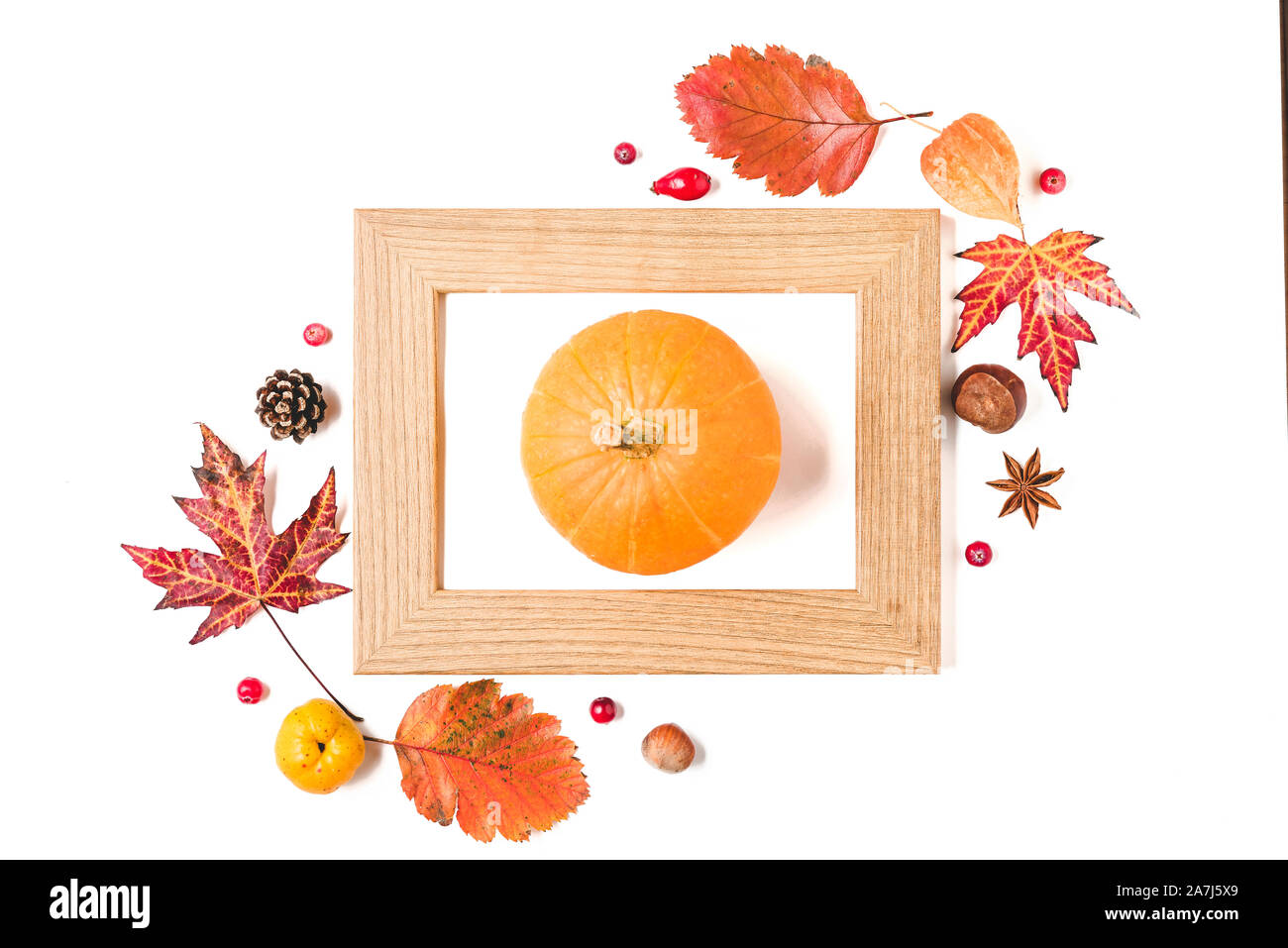 Thanksgiving or autumn background. Fall composition with fallen leaves, dry flowers, berries, nuts and pumpkin in frame isolated on white background. Stock Photo