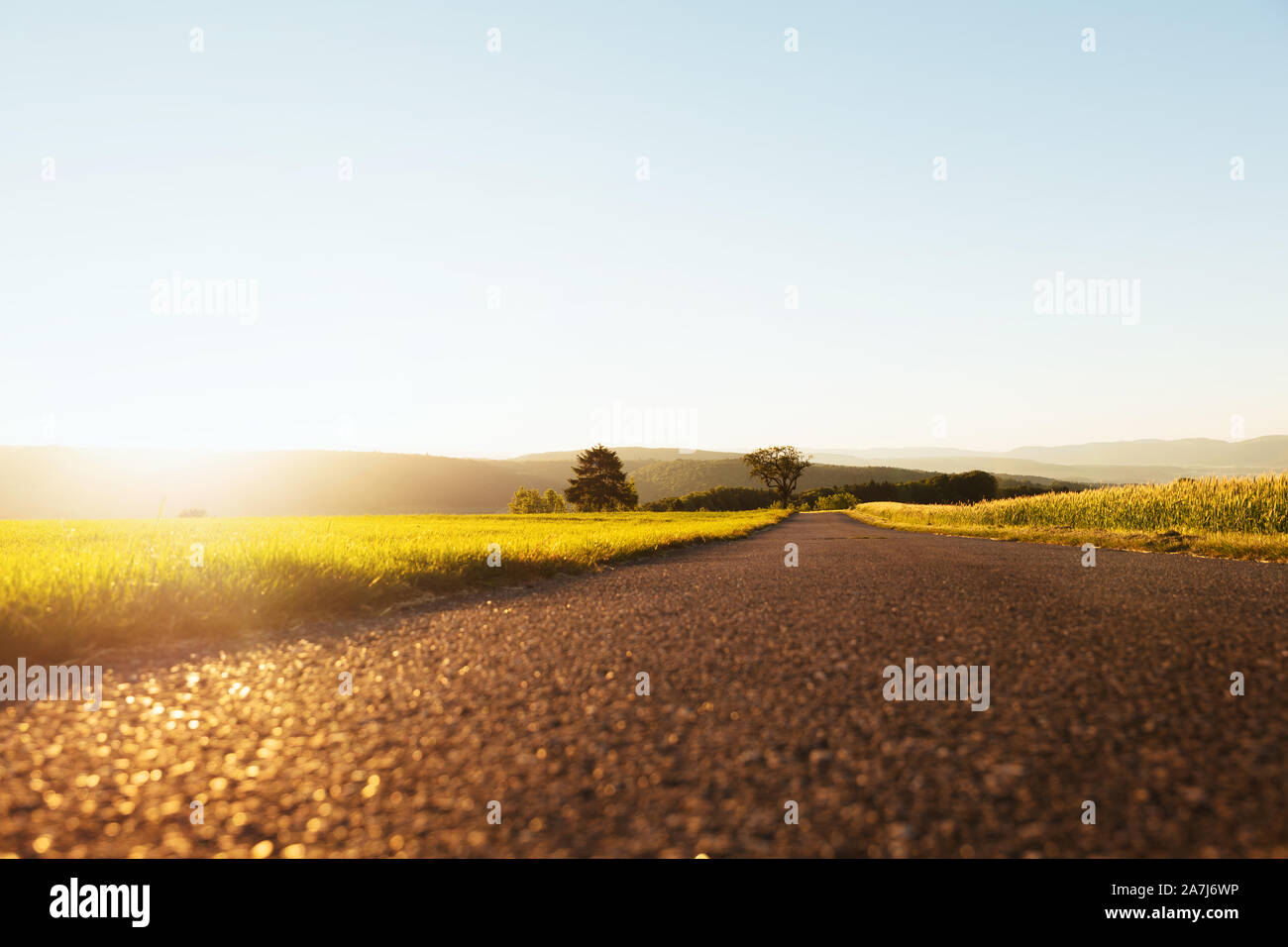 rural natural scene with a street between meadows at sunrise Stock Photo