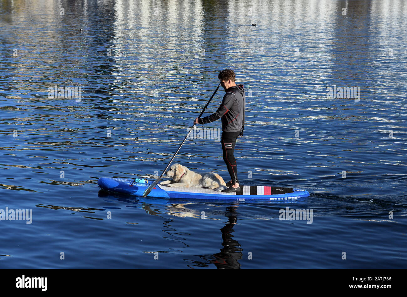 man and dog on paddle board;lake lucerne;switzerland Stock Photo