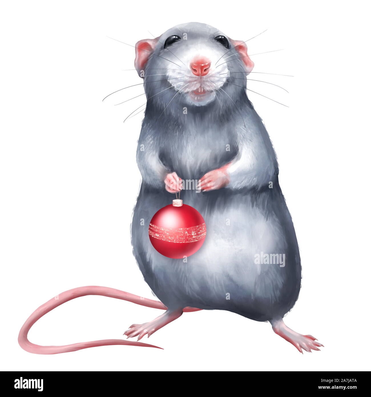 Cute rat holding a Christmas ball Stock Photo