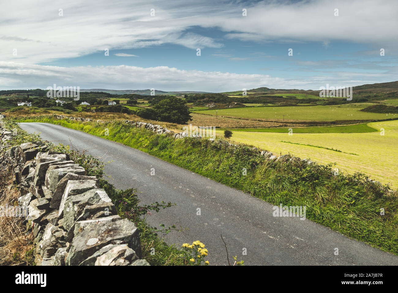 Rustic Asphalt Road and Field Nothern Ireland. Nature Farming Landscape ...